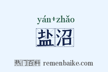 盐沼是什么意思的图片